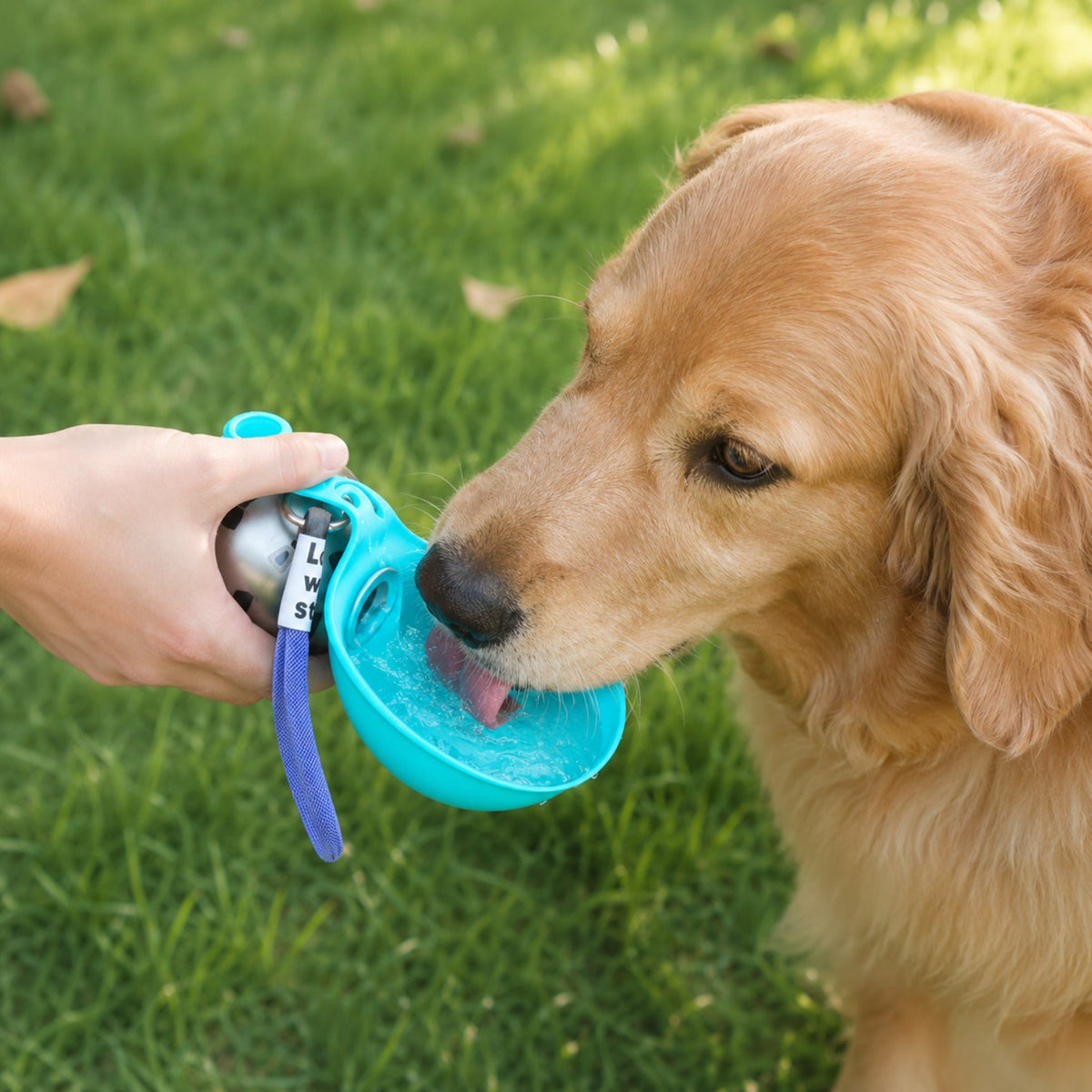 Sip & Stroll - 3-in-1 Portable Dog Water Bottle